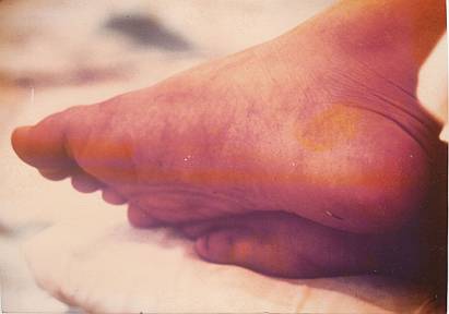 Prem Rawat's (Maharaji) Divine Lotus Feet