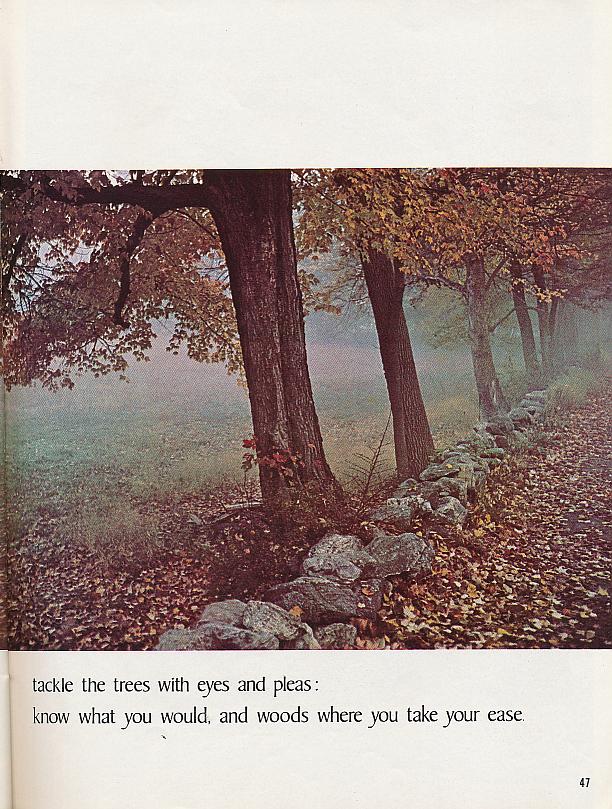 And It Is Divine magazine