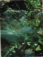 And It Is Divine magazine