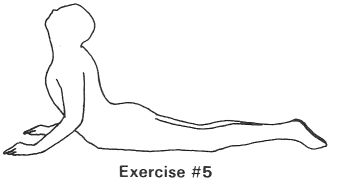 Exercise #5