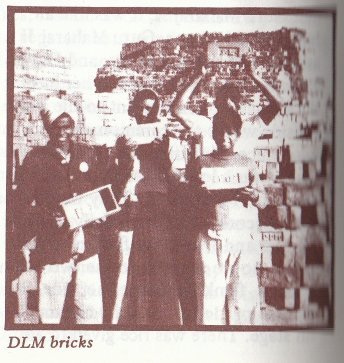 DLM bricks