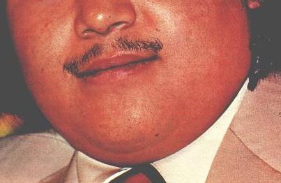 Maharaji's Moustache