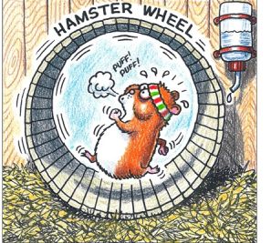 Hamster On A Wheel