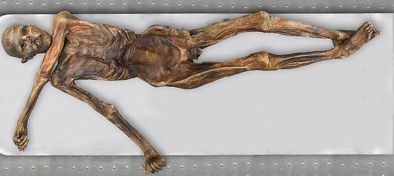 Maharaji aka Prem Rawat in Paris 1993 Maharaji aka Prem Rawat in Paris 1993