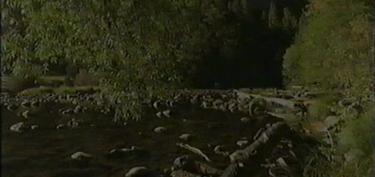 Maharaji: Madrid Aspirants, 1993 Maharaji: Madrid Aspirants, 1993