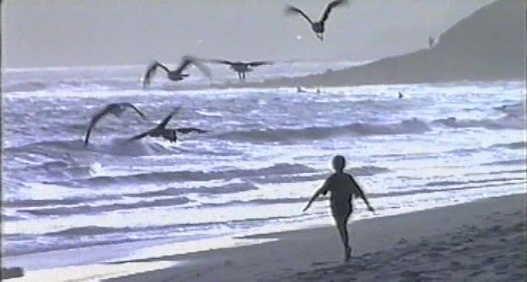 Maharaji: Madrid Aspirants, 1993 Maharaji: Madrid Aspirants, 1993