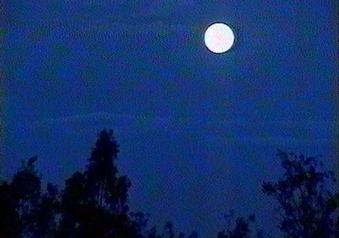 Maharaji 1997: This is Our Time