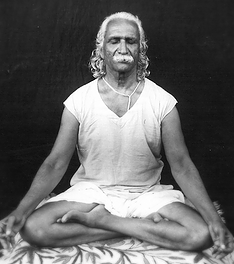 wami Kuvalayananda